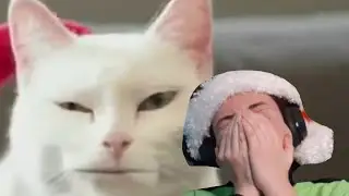Cursed Christmas commercials - 2019 Christmas special