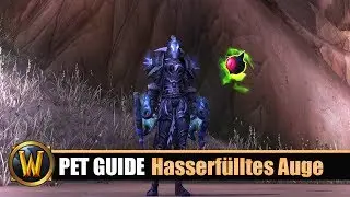 [WOW] Pet Guide: Hasserf&uuml;lltes Auge