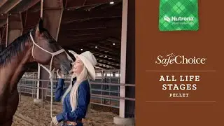 Nutrena SafeChoice All Life Stages