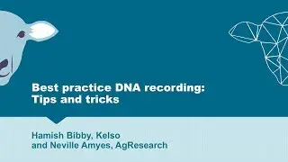 Best practice DNA recording: Tips and tricks