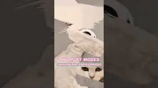 Interactive Cat Toy with Dual Play Modes | Interactive Cat Toy | Cat Toy | (Get Link In Description)