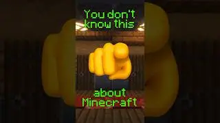 PISTON GLITCH?! #minecraft #minecraftanimation