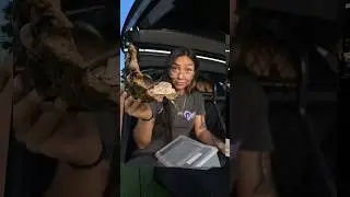 Sneaking my lizard into Bentley&rsquo;s dog event