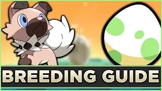 ♦ Das perfekte Pokémon ausbrüten! - Sonne & Mond Zucht & Breeding Guide [German/Deutsch]