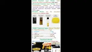 Different between Solid, Semisolid and Liquid Media    #geneticteacher