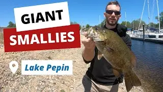 Shore Fishing Lake Pepin with Swim baits | Huge Smallmouth Bass + BONUS FISH!