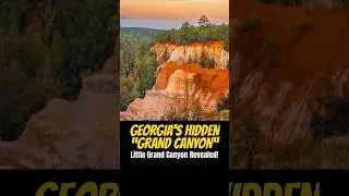Providence Canyon State Park: Georgia's Mini Grand Canyon is Spectacular!