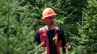 Alex Fraser Research Forest &ndash; UBC Forestry