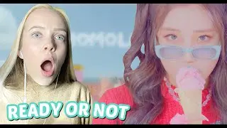 MOMOLAND 