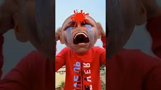 Taklu Sona catching the gold frog | Bangla Cartoon | Bengali Funny | Taklu Sona 566 #shorts