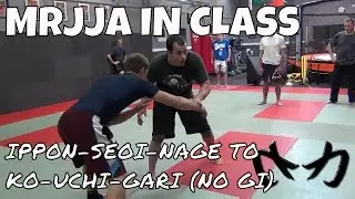 Ippon-Seoi-Nage Fake to Ko-Uchi-Gari/Ko-Uchi-Maki-Komi (No Gi) - [MRJJA IN CLASS 051]