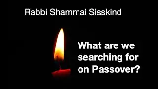 What are we searching for on Passover? Rabbi Shammai Sisskind