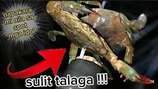 Crab hunting in Philippines @JunjunVLOGS240  how to catch crab / catching crab at night