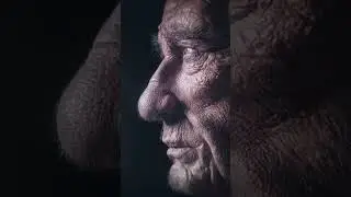 FROSTPUNK 2 Cinematic Experience