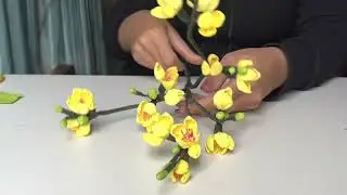 Cách Làm Hoa Mai Bằng Giấy Nhún #3