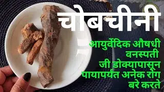 Chobchini Benefits : चोबचीनी, चमत्कारिक वेदना कमी करणारी आयुर्वेदिक औषधी वनस्पती Aayushacha Khajina