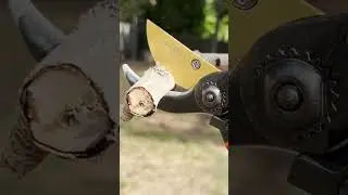 Pruning Shears for Gardening #shorts #short #shortvideo #garden