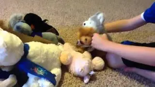 The Battle of the Stuffed Animals