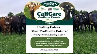CalfCare Webinar 2026