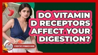Do Vitamin D Receptors Affect Your Digestion? - Sensitive Stomach Guide