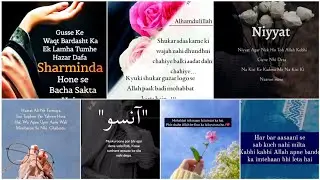 New Best Islamic Roman Urdu Poetry 💫Urdu Shayari Status | Heart Touching Urdu Quotes ✨Aqwalezareen✨