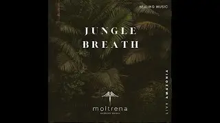 Music for deep relaxation, sleep and meditation | 8 hours pure sounds of the Jungle | Moltrena