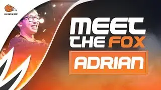 Meet the Fox: Adrian