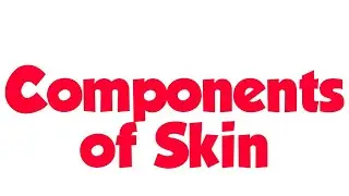 Components of skin [English]