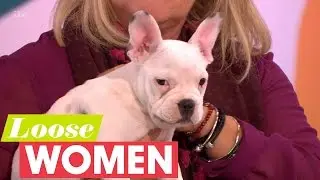 Adorable Deaf Puppy Ernie Joins Linda On The Panel | Loose Women