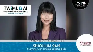 Learning with Limited Labeled Data with Shioulin Sam - TWiML Talk #255