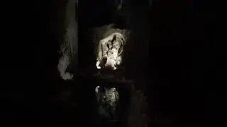 Wieliczka Salt Mine.  Music by an underground lake