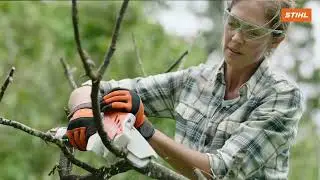 That's Why: GTA 26 Battery Garden Pruner