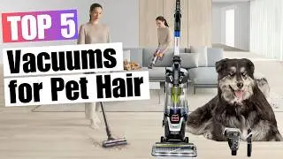 5 Best Vacuums for Pet Hair in 2025 | Clean Like a Pro!