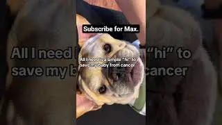 Please Max is in love with if you don't know. #puppy #funny #dogslife