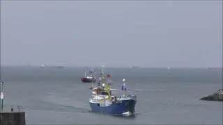OUDVISSERSDAG SCHEVENINGEN   17 6 2022
