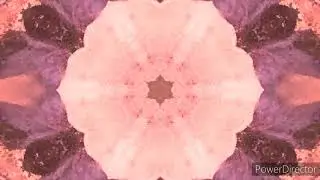 Kaleidoscope - Ancient Flowers and Aurora_Borealis_Expeditions