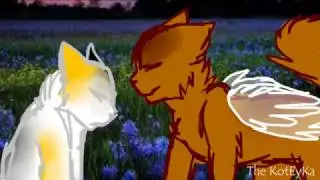 mini AMV| Don't Forget Me|-Simon and Disha-
