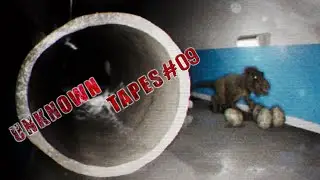 Let's Play UNKNOWN TAPES 🦖 9: Da Ist Einer Richtig Sauer