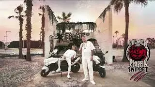 Zu Spät - Palmen aus Plastik 3 (BassBoost)