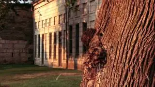 Fort Adams 