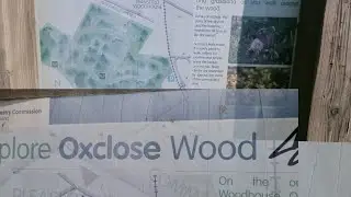 Oxclose Wood, Mansfield || PinayNene life in UK