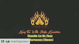 Shaolin Liu He Zhou ( 6 Harmonies of Elbows)
