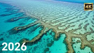 Smooth Deep House Mix 2026 🍹 Relaxing Lounge Vibes for Summer & Poolside Vol.59