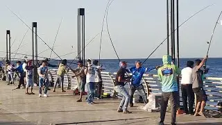 Pesta Strike Ikan Tuna Di Spot Pinggiran Laut Merah