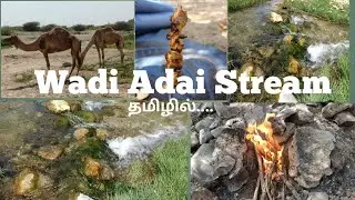 Tamil vlog in Muscat/Wadi Adai stream Amerat /Muscat,Oman/Best place to visit in Oman/Anju'sparadise