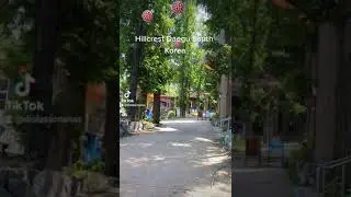 My day in Daegu South Korea!! 🇰🇷🥳