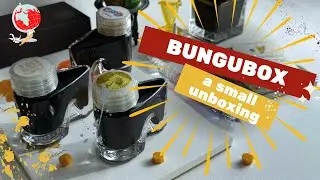 Распаковка канцелярских товаров BUNGUBOX | Новые чернила, блокнот Canopus и самая крутая стеклянн...
