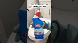 Satisfying Toilet Bowl ASMR