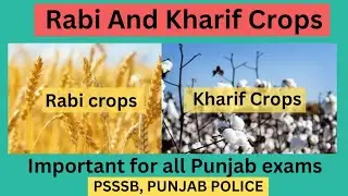 The Punjab Crop Crisis: Rabi & Kharif Explained #punjabgkgs #gktopics