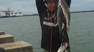 mancing di pltu lontar - PLTU LONTAR SPOT MANCING FAVORIT SAAT MUSIM BARATAN